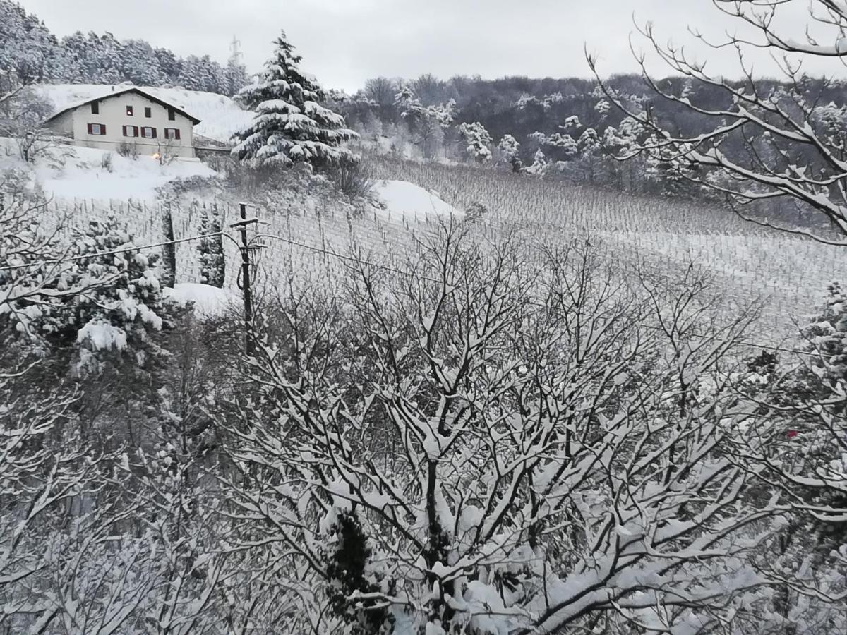 Cottage Lavanda E Rosmarino ラヴィース エクステリア 写真