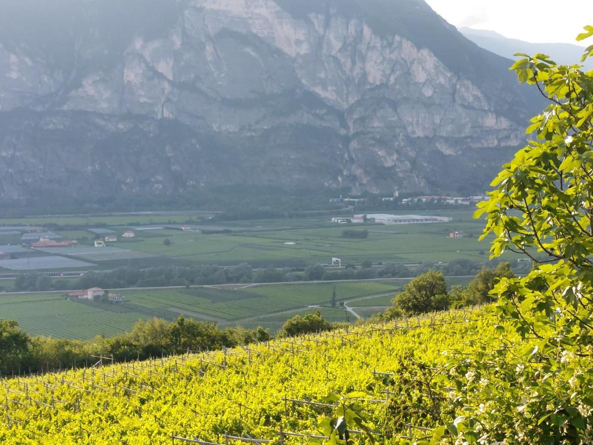 Cottage Lavanda E Rosmarino ラヴィース エクステリア 写真