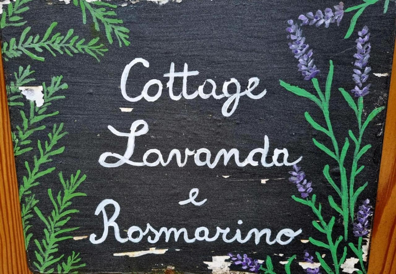 Cottage Lavanda E Rosmarino ラヴィース エクステリア 写真
