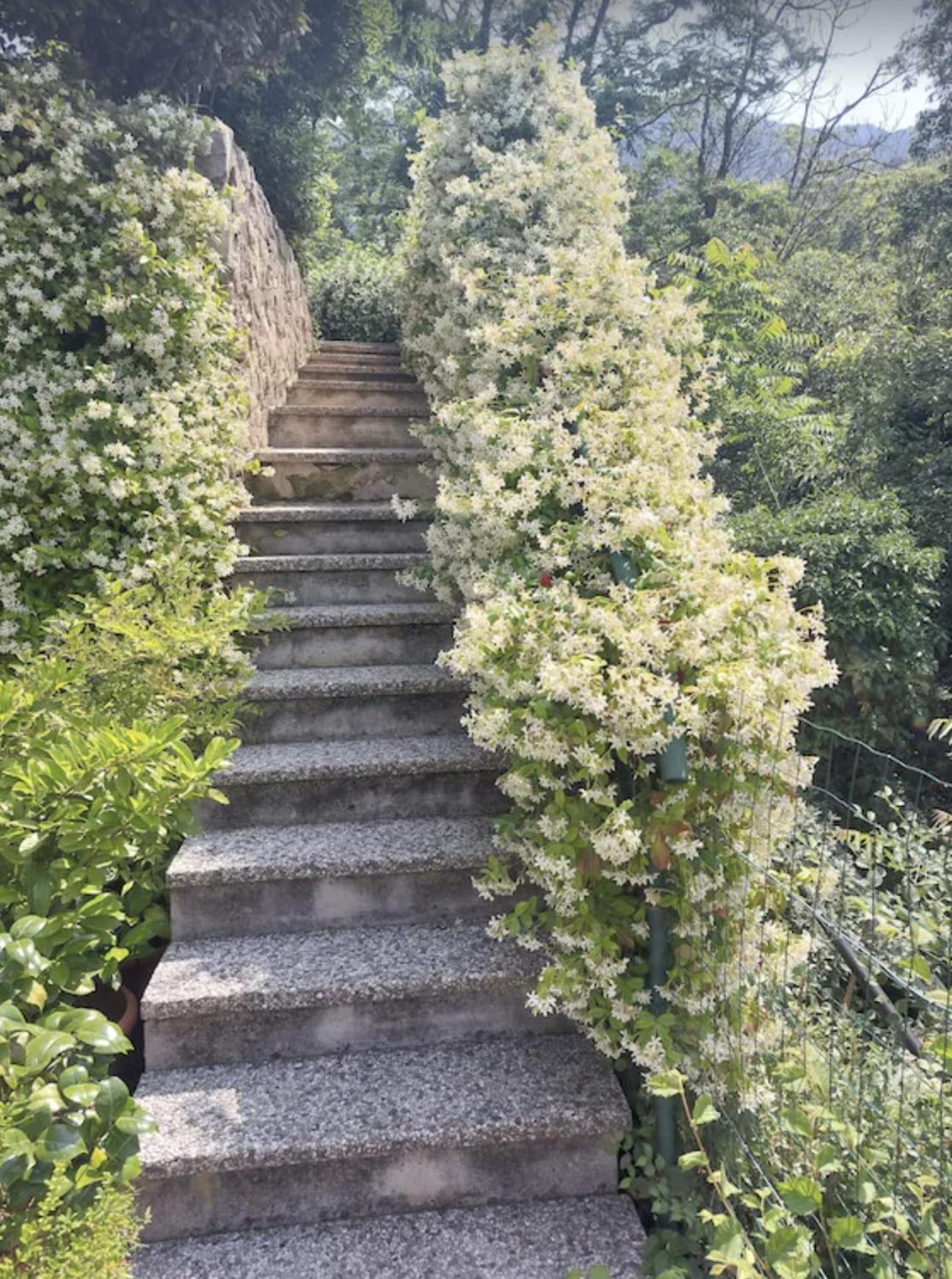 Cottage Lavanda E Rosmarino ラヴィース エクステリア 写真