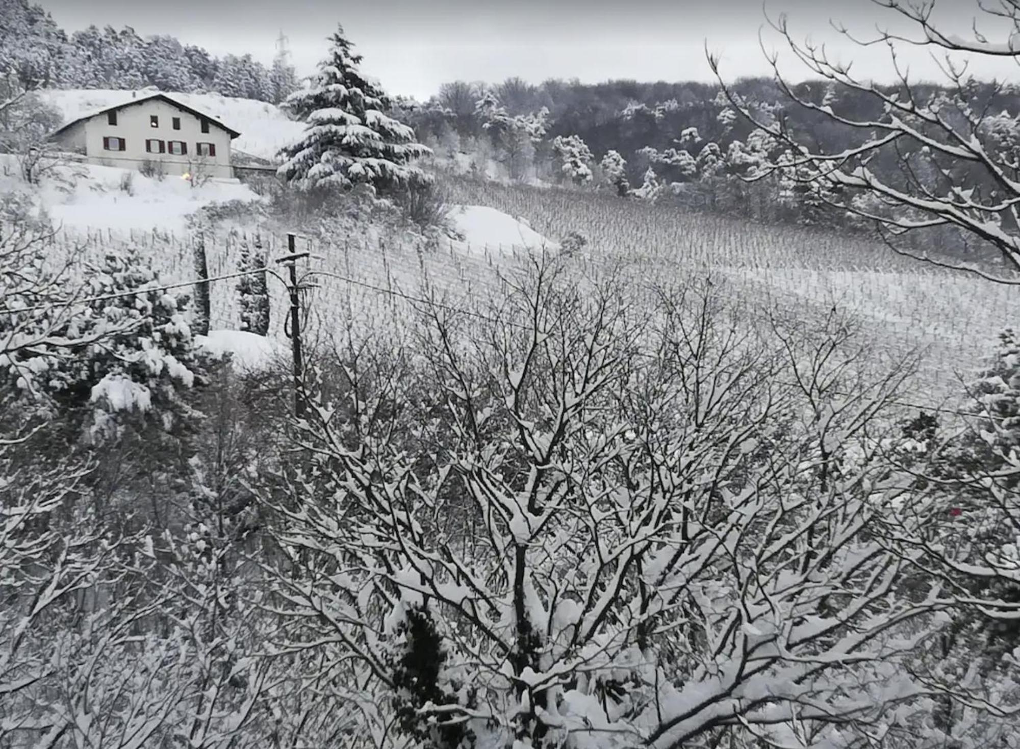 Cottage Lavanda E Rosmarino ラヴィース エクステリア 写真