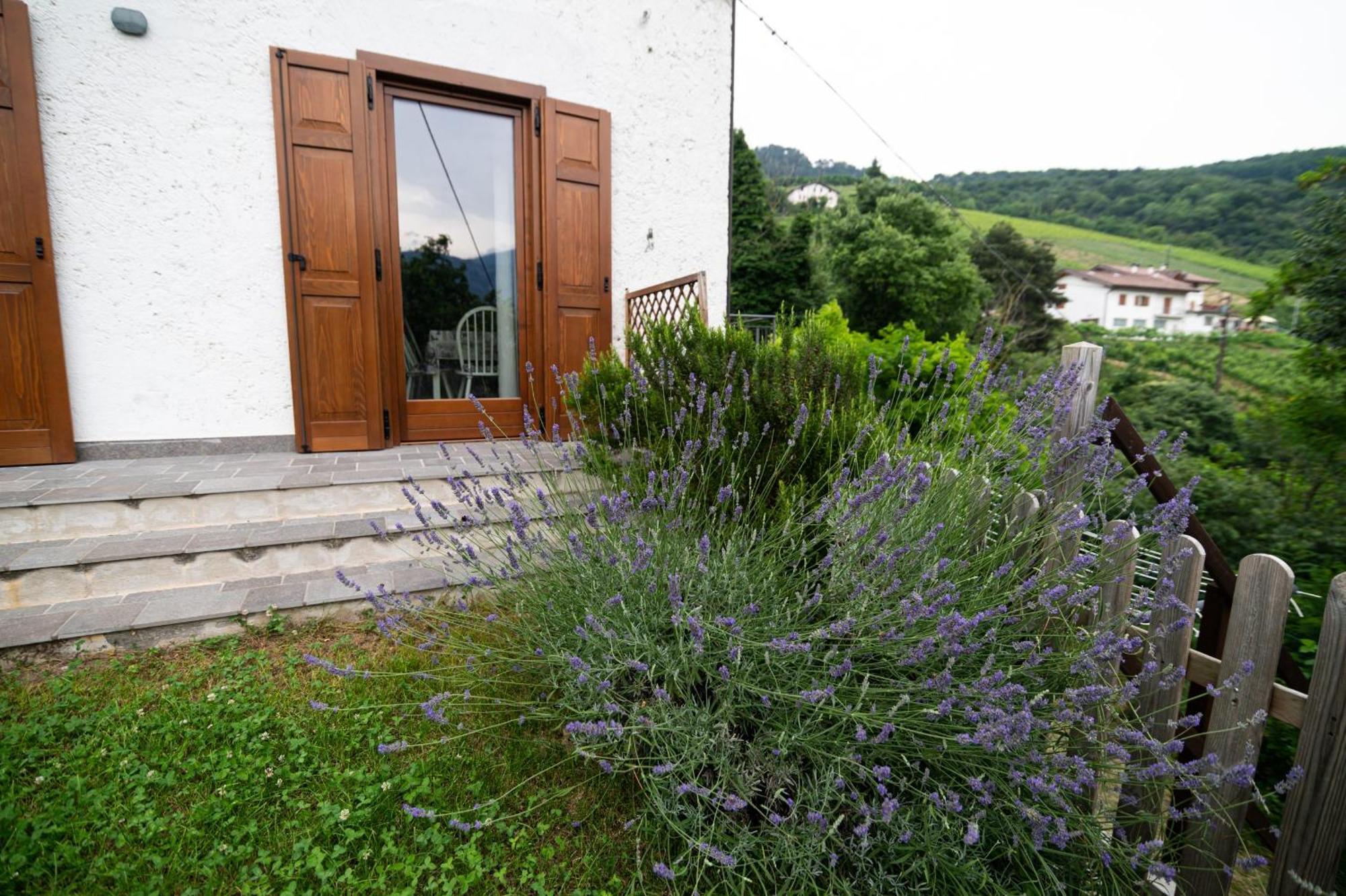 Cottage Lavanda E Rosmarino ラヴィース エクステリア 写真