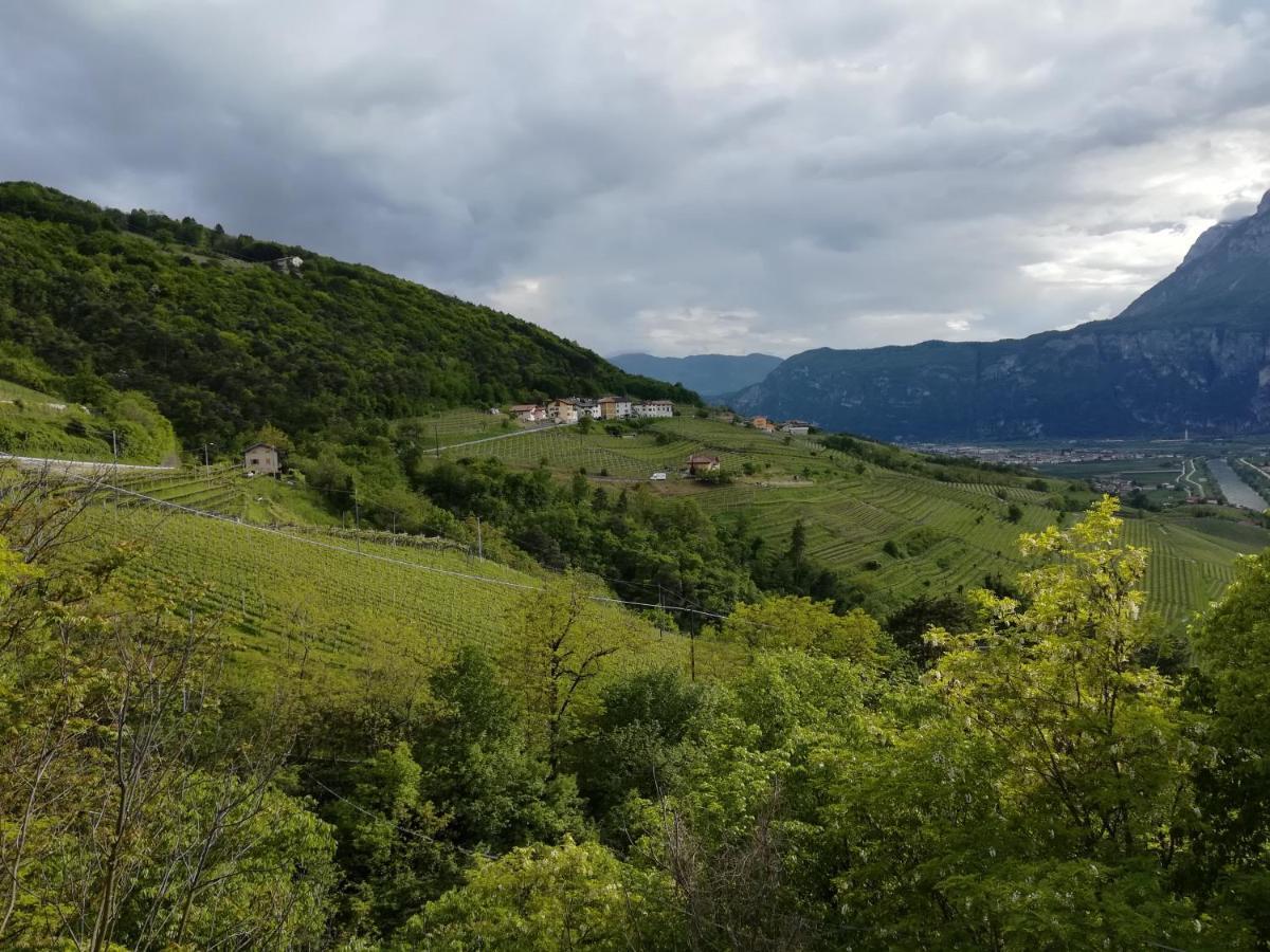 Cottage Lavanda E Rosmarino ラヴィース エクステリア 写真